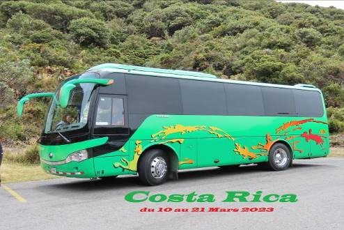 Bus